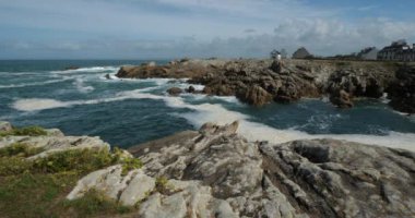 Penmarch, Finistere Departmanı, Brittany, Fransa. Meşhur kayalarla Penmarch 'ın noktası. Ön planda kaya örnekleri adı verilen yabani çiçekler var..