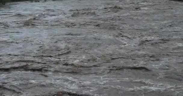 Burze Cevenol Kanion Herault Occitanie Francja Rzeka Herault Powodzie Podczas — Wideo stockowe