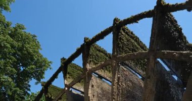 L 'Isle-sur-la-Sorgue ayrıca Isle sur Sorgue, Provence-Alpes-Cote d' Azur bölgesi, Vaucluse bölgesi, Fransa