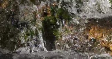 Lunaret Doğa Koruma Alanı, Montpellier, Herault Departmanı, Occitanie, Fransa. Lez nehri.