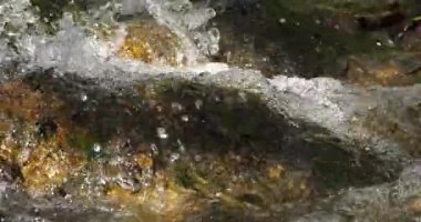 Lunaret Doğa Koruma Alanı, Montpellier, Herault Departmanı, Occitanie, Fransa. Lez nehri.