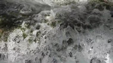 Lunaret Doğa Koruma Alanı, Montpellier, Herault Departmanı, Occitanie, Fransa. Lez nehri.