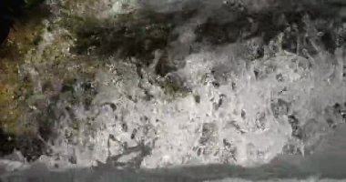 Lunaret Doğa Koruma Alanı, Montpellier, Herault Departmanı, Occitanie, Fransa. Lez nehri.