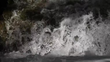Lunaret Doğa Koruma Alanı, Montpellier, Herault Departmanı, Occitanie, Fransa. Lez nehri.