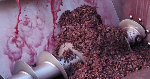 Fábrica Vinos Claret Pic Saint Loup Departamento Herault Occitanie Francia — Vídeo de stock