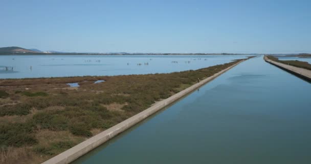 从罗纳河到法国塞特 Sete 的运河 左边是维克池塘 右边是皮埃尔 布兰奇池塘 — 图库视频影像