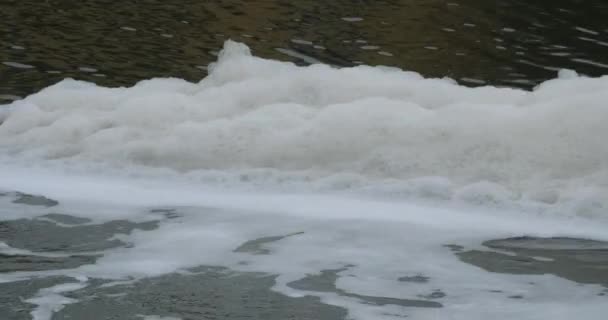 Поверхность Загрязненной Воды — стоковое видео