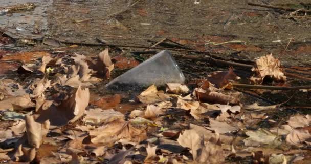 Une Surface Eau Polluée — Video