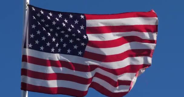 Bandiera Nazionale Degli Stati Uniti Che Sventola Nel Vento — Video Stock