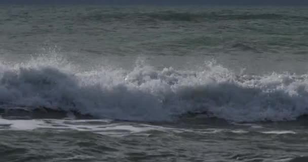 地中海 埃斯皮古埃特海滩 法国罗伊岛格劳 — 图库视频影像