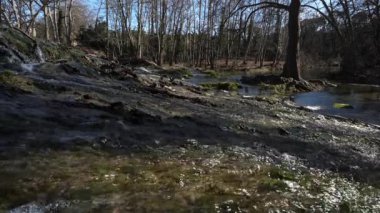 Lunaret Doğa Koruma Alanı, Montpellier, Herault Departmanı, Occitanie, Fransa. Lez nehri.