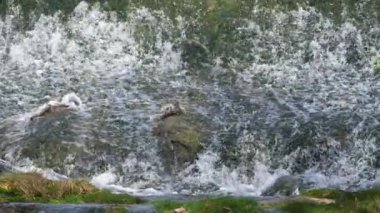 Lunaret Doğa Koruma Alanı, Montpellier, Herault Departmanı, Occitanie, Fransa. Lez nehri.