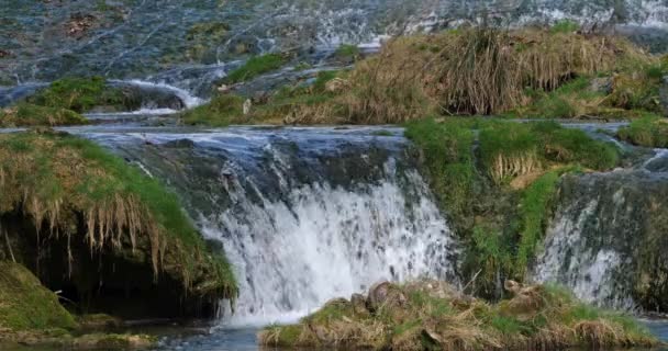 Lunaret Nature Reserve Montpellier Departement Herault Okzitanien Frankreich Der Fluss — Stockvideo