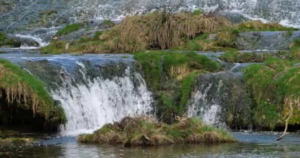 Lunaret Nature Reserve Montpellier Departamento Herault Occitanie Francia Río Lez — Vídeos de Stock