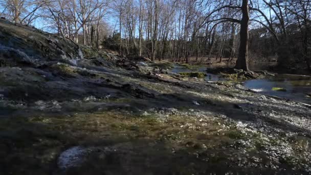 法国维吉尼亚 赫罗托省蒙彼利埃的拉纳雷特自然保护区 利兹河 — 图库视频影像