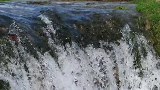 Riserva Naturale Lunaret Montpellier Dipartimento Herault Occitanie Francia Fiume Lez — Video Stock