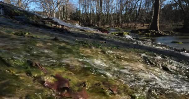 Lunaret Nature Reserve Montpellier Διαμέρισμα Herault Occitanie Γαλλία Ποταμός Lez — Αρχείο Βίντεο