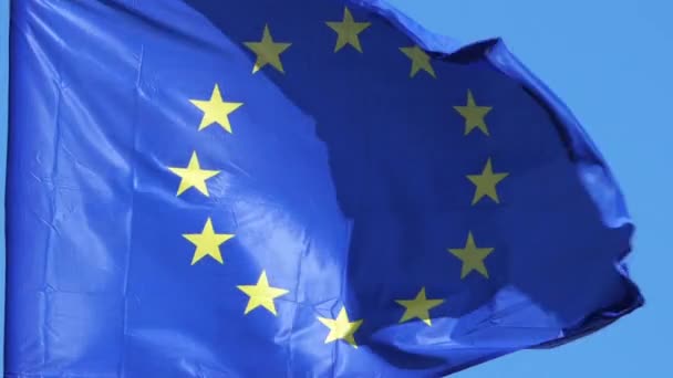 Bandiera Europea Sventola Nel Vento — Video Stock