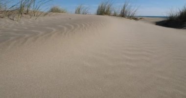 Vahşi manzara, Espiguette, Camargue, Fransa. Kum manzarası, Espiguette, Gard Departmanı, Fransa