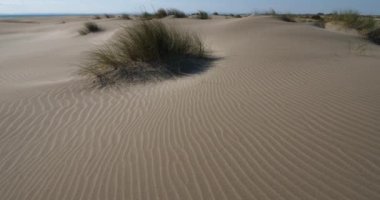 Vahşi manzara, Espiguette, Camargue, Fransa. Kum manzarası, Espiguette, Gard Departmanı, Fransa