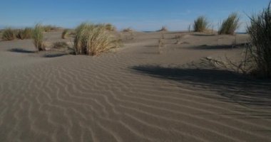 Vahşi manzara, Espiguette, Camargue, Fransa. Kum manzarası, Espiguette, Gard Departmanı, Fransa