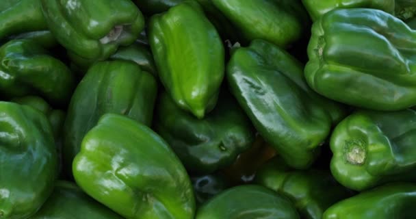 Bell Peppers French Vegetable Market — Stock Video