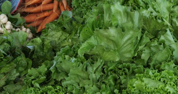 Verduras Frescas Puestos Mercado Del Sur Francia — Vídeos de Stock