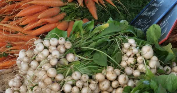 Verduras Frescas Puestos Mercado Del Sur Francia — Vídeos de Stock