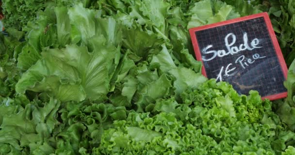 Verduras Frescas Puestos Mercado Del Sur Francia — Vídeos de Stock