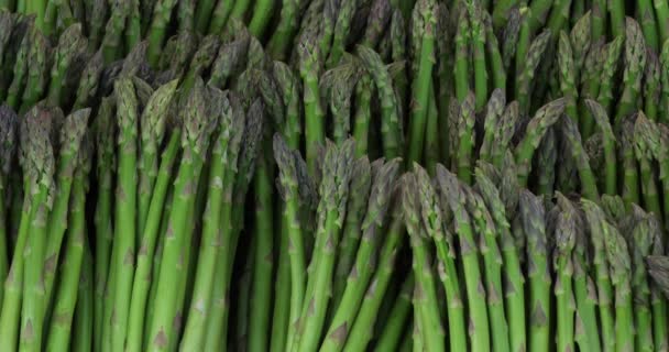 Asparagi Noti Anche Come Asparagi Giardino Fascio Asparagi Coltivati — Video Stock