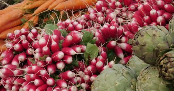 Güney Fransa Bir Markette Taze Sebzeler — Stok video