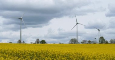 Fransa 'nın Brittany kentindeki Cotes d' Armor bölgesinde tecavüz tohumu (Brassica napus) ve rüzgar türbinleri