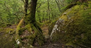 Toul Goulic Vadisi, Cotes d 'Armor Departmanı, Brittany, Fransa