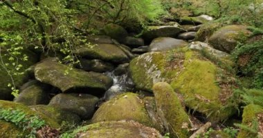 Toul Goulic Vadisi, Cotes d 'Armor Departmanı, Brittany, Fransa