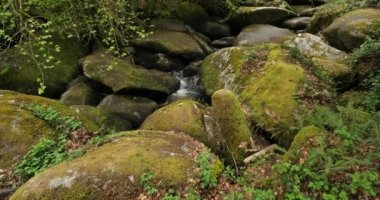 Toul Goulic Vadisi, Cotes d 'Armor Departmanı, Brittany, Fransa