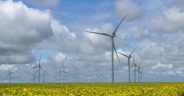 Rapsfelder Brassica Napus Und Windkraftanlagen Der Region Beauce Nordfrankreich — Stockvideo