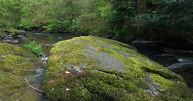 Daoulas Boğazı, Cotes d zırh bölümü, Brittany, Fransa