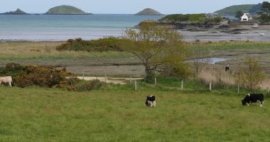 Paimpol Körfezi, Cotes d zırh departmanı, Fransa 'da Brittany.
