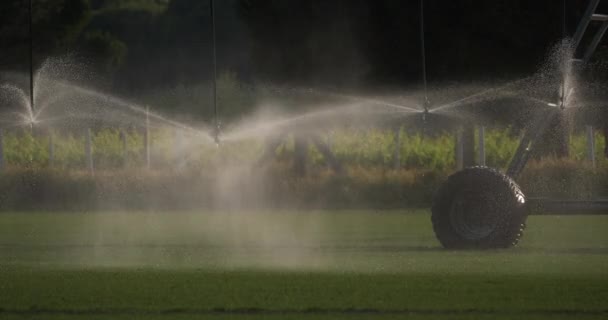 Sprinkler System Irrigating Field Occitanie Francia — Video Stock