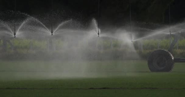 Sprinkler System Irrigating Field Occitanie France — Stock Video