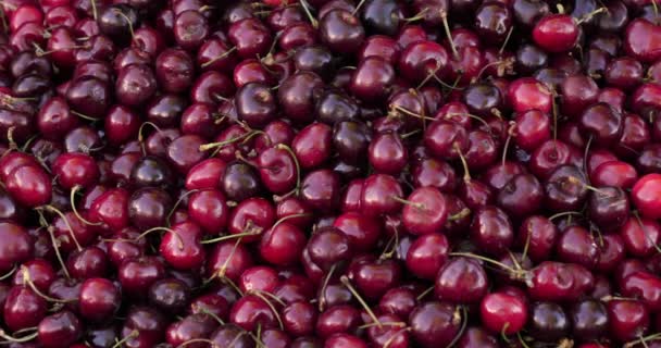 Fresh Fruits Stalls Southern France Market Cherries — Stock Video