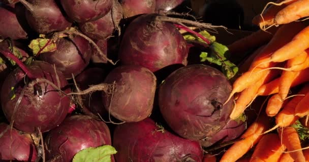 Свежие Овощи Ларьках Южном Рынке Франции Морковь Свекла — стоковое видео