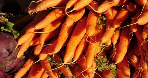 Свежие Овощи Ларьках Южном Рынке Франции Морковь Свекла — стоковое видео