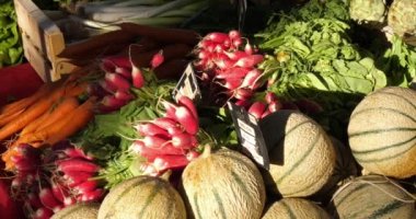 Güney Fransa 'da bir markette taze sebzeler. Kavun, turp salata ve havuç.
