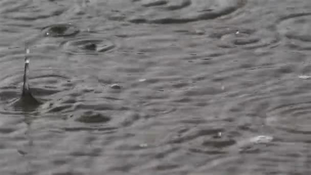 Pluie Pendant Une Tempête — Video