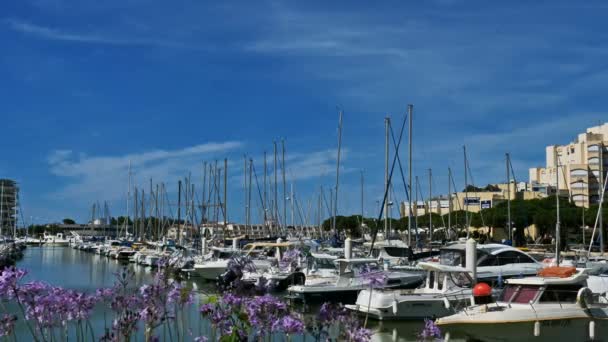 Palavas Les Flots Herault Naquitanie France — 图库视频影像