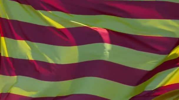 Drapeau Catalan Agitant Vent — Video