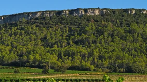 Wijngaarden Bij Pic Saint Loup Claret Herault Frankrijk Achtergrond Kreta — Stockvideo