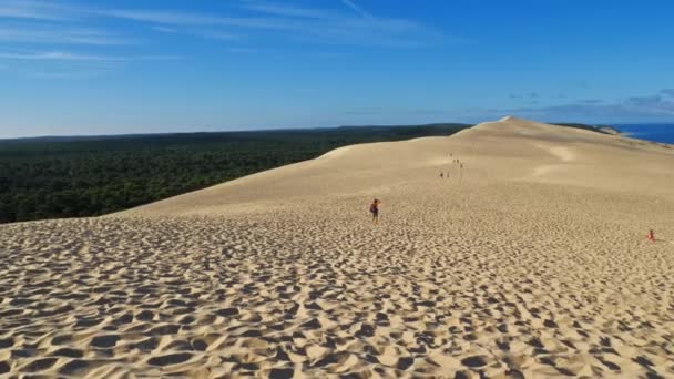 Dune Pilat Gironde Nouvelle Aquitaine Frankreich — Stockvideo