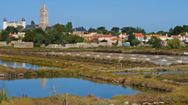 Noirmoutier Ile Eiland Noirmoutier Golf Van Biskaje Vendee Frankrijk Kwelders — Stockvideo